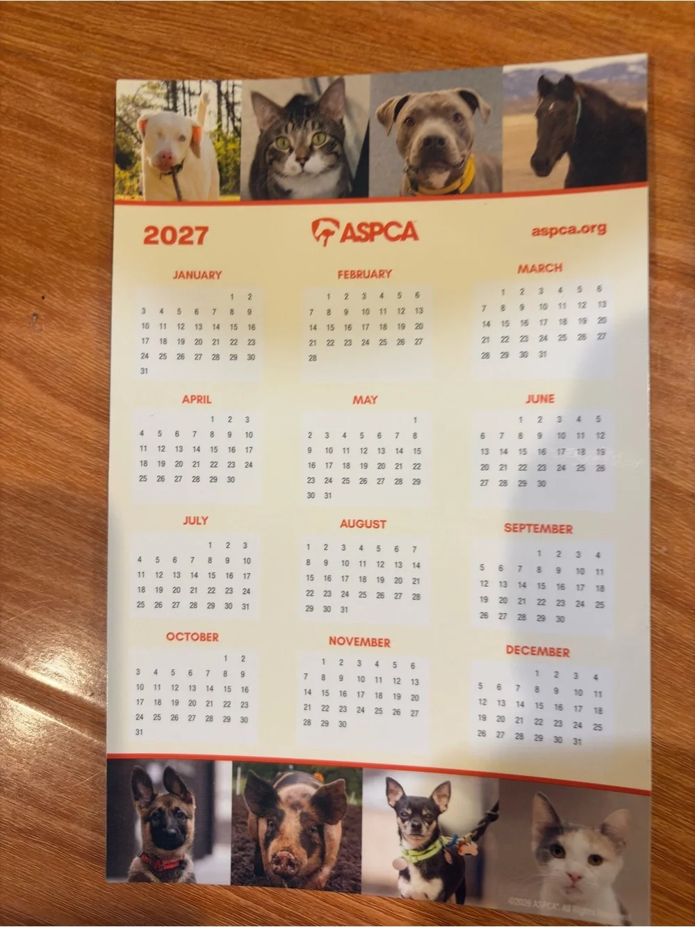 Bundle of 8-2027 Planner, Calendar, Pocket ,Magnet Calendar, Receipts& Stickers